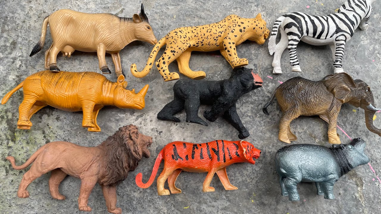 sapi,zebra,gajah,macantutul,harimau,kudanil,jerapah,harimaukumbang,badak