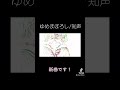 ゆめまぼろし/ 知声
