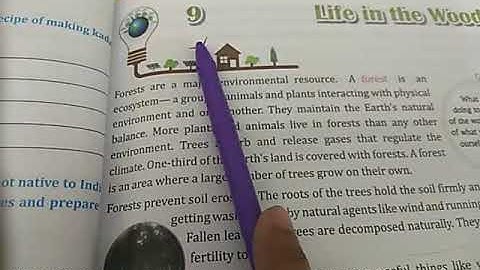 Bhartiyam Public School /class 5/SST /chapter 9 back exercise