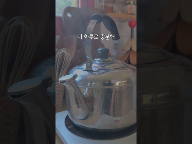 시골브이로그 5도2촌 자급자족 양배추김밥 #전원생활 #시골살이 #귀촌생활 #양배추김밥