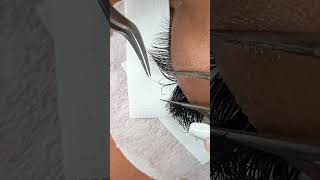 YY lash application from start to the final sticky check