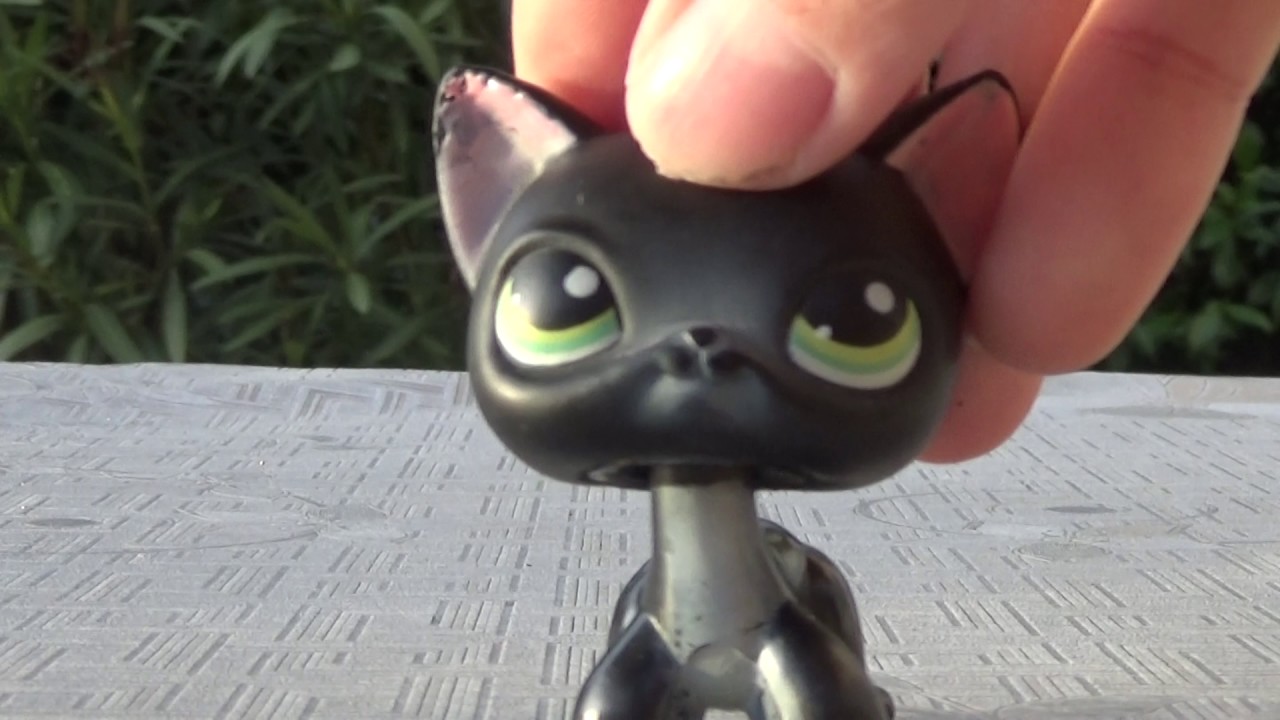 1643 chat européen / poil court LPS Littlest Petshop génération 2 G2 - Jeux & Jouets