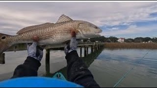 Charleston kayak fishing big red drums