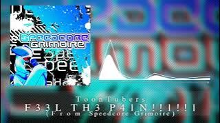 [Metal Speedcore/Frenchcore/Uptempo/Splittercore] ToonTubers - F33L TH3 P41N!!1!!1