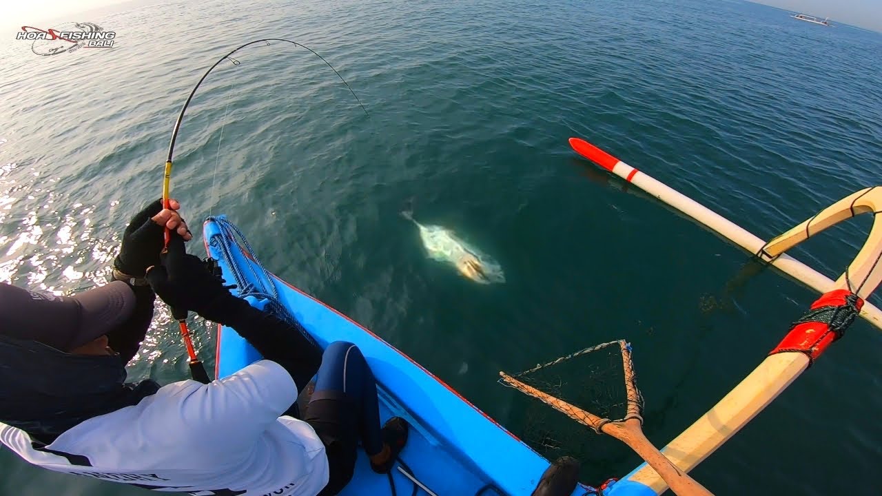 Begini jadinya Mancing di sarang BAbOn dengan alat UL || ultralight fishing || HFB 124