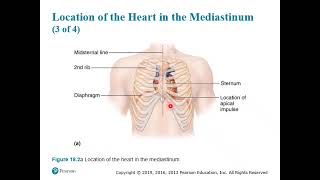HAP 11e Lecture Ch 18A VIDEO