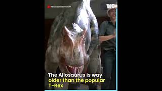 Craziest Dinosaur Show The Craziest Dinosaur Show Ever