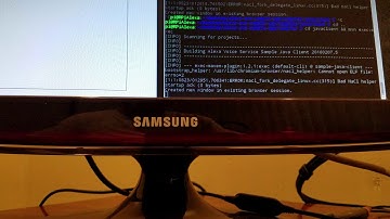 Raspberry Pi 3 Echo Project