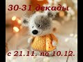 30-31 декады 2020 г. (с 21.11. по 10.12.)