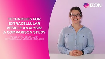 Techniques for Extracellular Vesicle Analysis: a Comparison Study