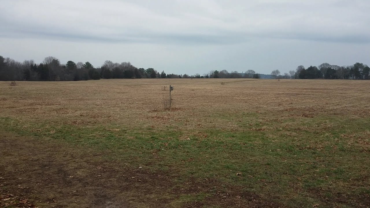 Bay Farm Duxbury Winter Walk YouTube