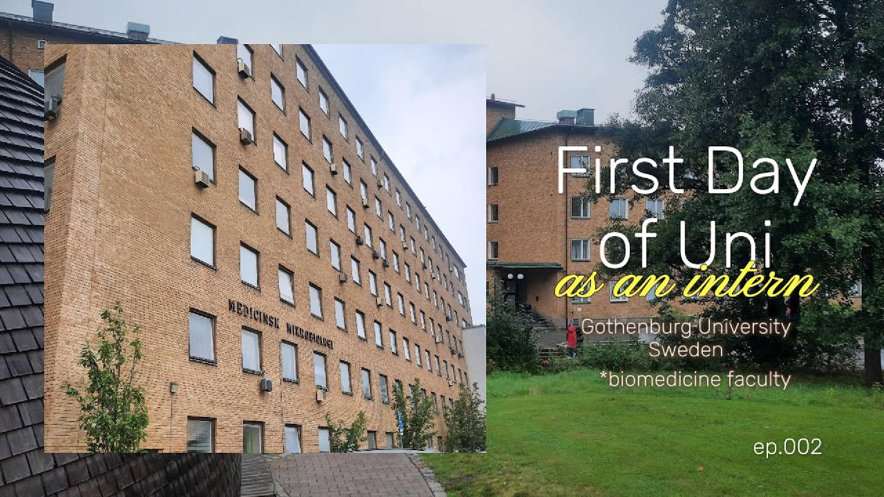 İsveç Staj'da İlk Günüm | Eylül '24 | First day of Internship | September '24