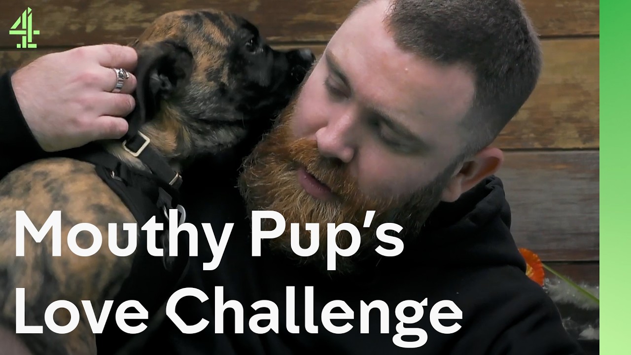 Rescue Dogs and Puppies Charm New Owners | The Dog House 🐶