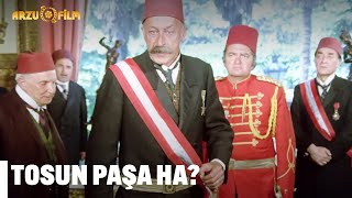 Tosun Paşa Ha? - Tosun Paşa