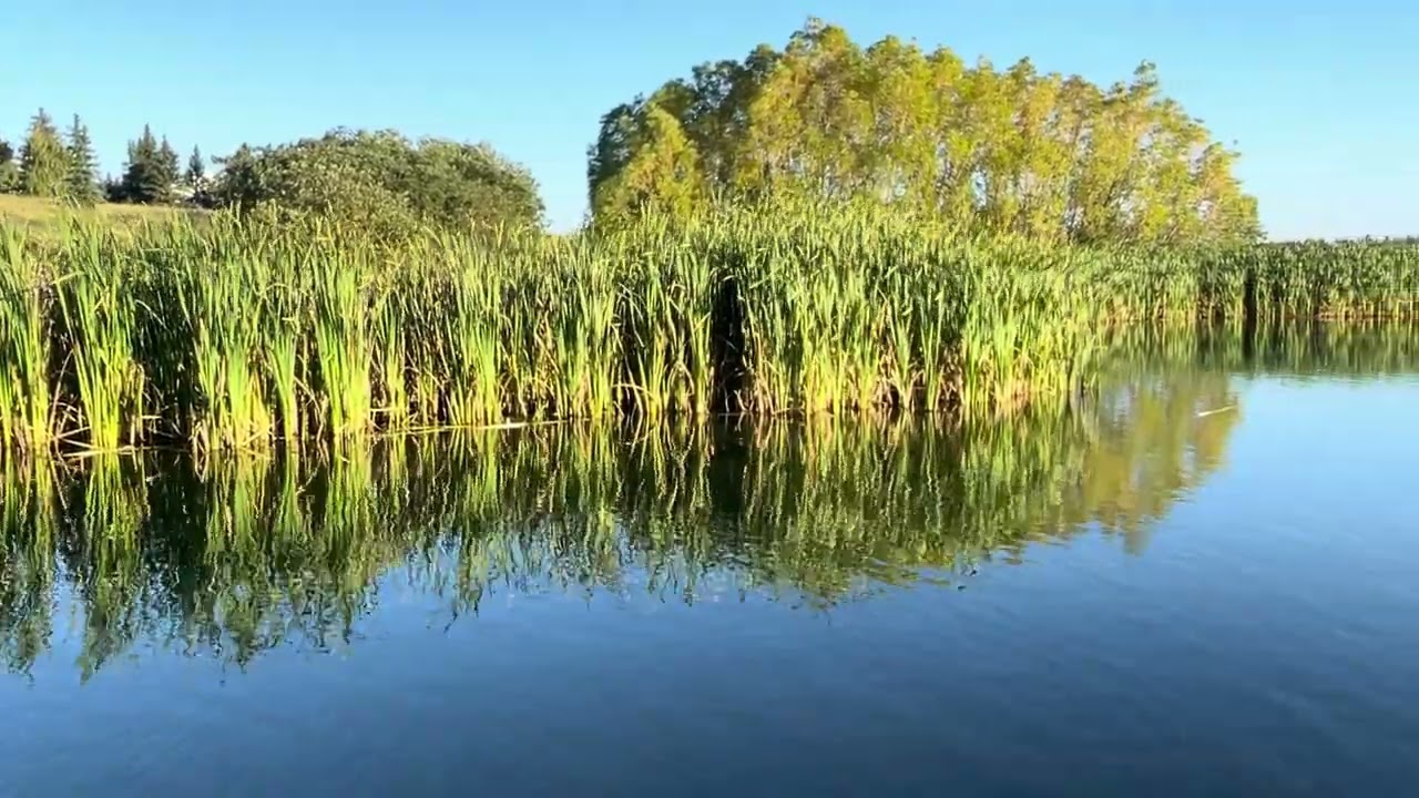 Protecting Nature Today for a Sustainable Tomorrow