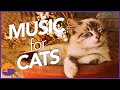 Magic music for cats  unbelievable results tested 2022