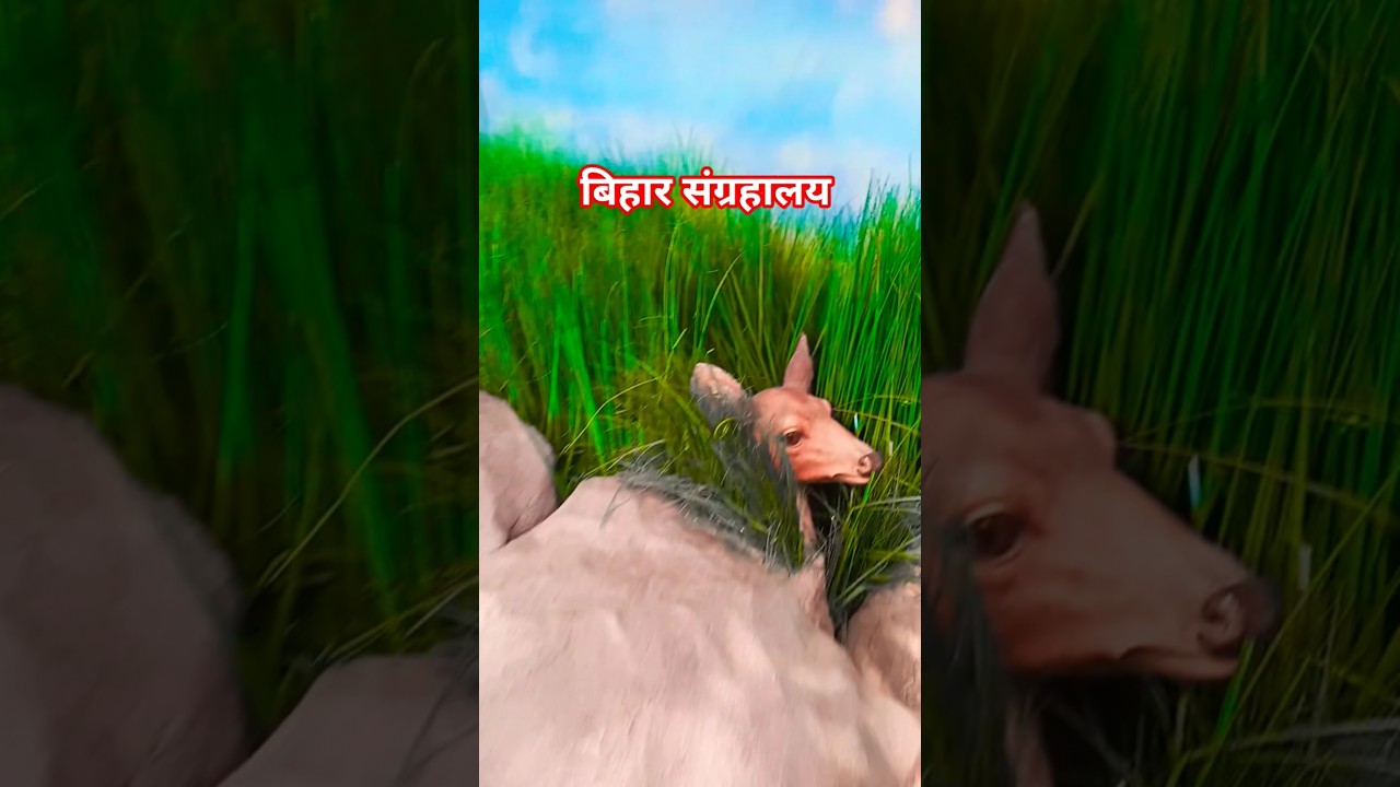 बिहार संग्रहालय पटना || 