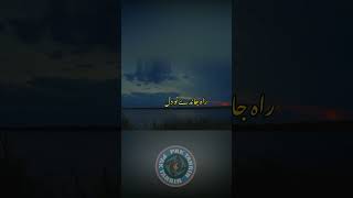 Islamic Whatsapp Status IslamicStatus shorts ytshorts Islamic ViralVideo Shorts | Pak Tahrir