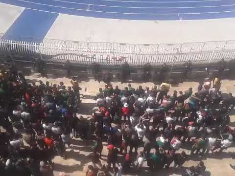 فيراج سيد مولودية الجزائر