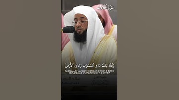 ما تيسر من سورة الحجرات | تلاوة فضيلة الشيخ #بدر_التركي