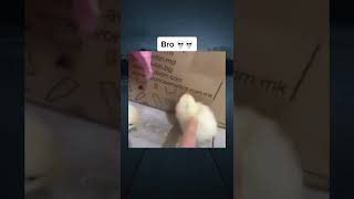 looks like the group leader💀💀💀 by memexaun - tiktok #shorts