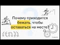 🎓Ментальные Модели 9 Гипотеза Красной Королевы