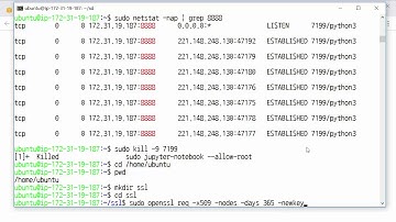도커(Docker) 활용 및 배포 자동화 실전 초급 ② - Jupyter Notebook 설치, HTTPS 적용, 시스템 서비스 설정하기