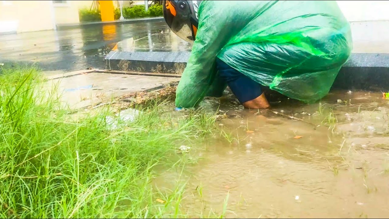 After Heavy Rain Walk Remove Trash Clogged Culvert Drain Rain Water On ...