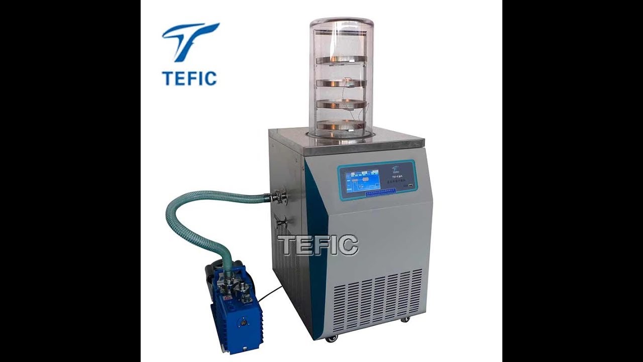 Buy 1.8L Laboratory Freeze Dryer Manufacturer and Factory