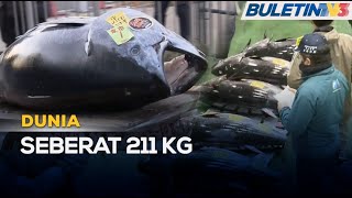 DUNIA | Ikan Tuna Berharga RM608 Ribu