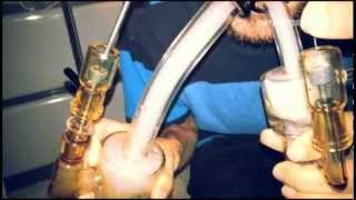 Toro Double Macro with Toro Micro Circ Double Dab!