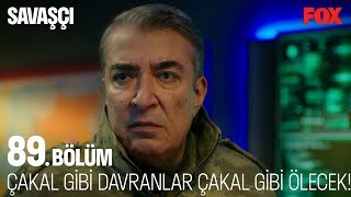 Çakal Gibi Davrananlar Çakal Gibi Ölmeyi Göze Alacak Savaşçı 89 Bölüm