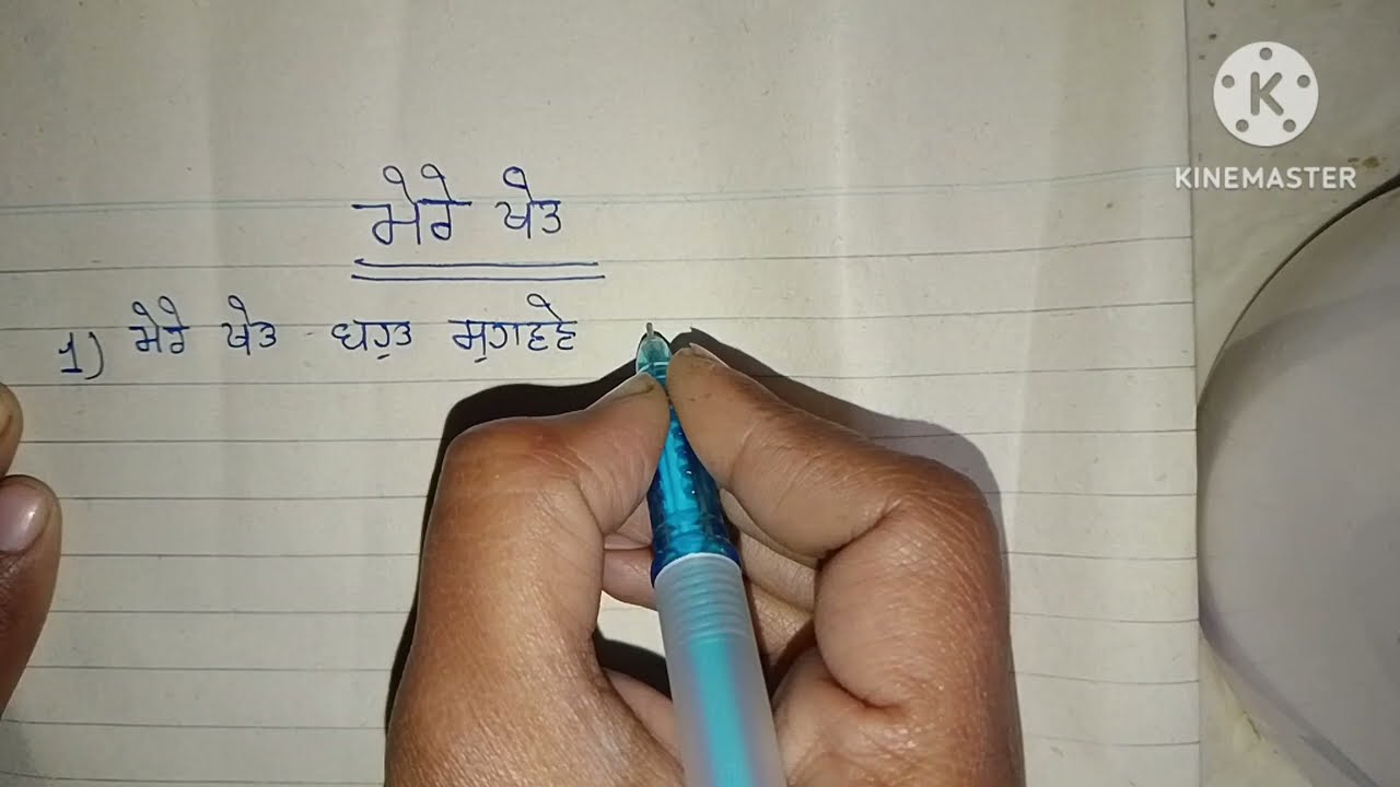 My fields essay in Punjabi 10 lines 
