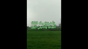 ما تيسر من سورة الفرقان _ للقارئ خالد الجليل 🌿
