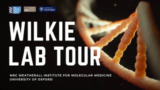 Tour the Wilkie Lab - Oxford Open Doors 2021