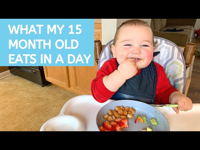 WHAT MY ONE-YEAR-OLD TODDLER EATS IN A DAY | 15 MONTHS OLD | MEAL IDEAS | FOOD DIARY class=