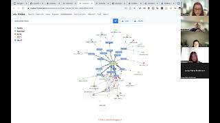 FlyWire + CoDEx Workshop screenshot 2