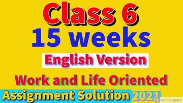 15 weeks English version class 6 work and life oriented assignment solution 2021.