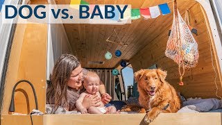 DOG vs. BABY | WHICH is HARDER for VAN LIFE?
