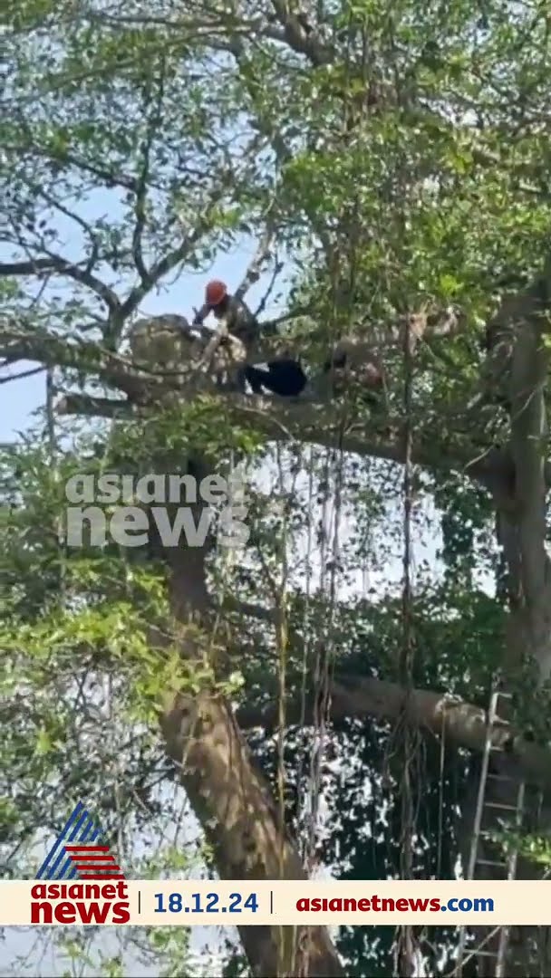 കന്റോണ്‍മെന്റ് ഹൗസില്‍ മരം മുറിക്കാനെത്തിയ തൊഴിലാളിയുടെ വിരലുകള്‍ മരങ്ങള്‍ക്കിടയില്‍ കുടുങ്ങി