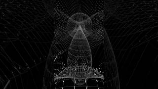 Riemann sphere embedding of a tensor field #mathematician #vector #tensor #topology #geometry #math