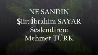 Ne sandın şiiri - İbrahim Sayar Resimi