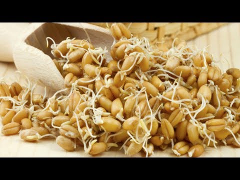 Молодой побег, ЖАЖДУЩИЙ ЖИЗНИ! ПРОРОСШЕЕ ЗЕРНО с точки зрения йогов!