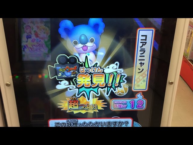 妖怪ウォッチウキウキペディアドリーム 3弾 コアラニャン 登場！ 撃破