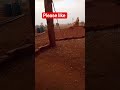 Daily Vlog India | Rajasthan Village Life | Full Day Routine#vlog#dailyvlog#rajasthan।#villagevlog