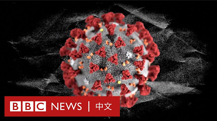 肺炎疫情：英国科学家成功复制冠状病毒，疫苗将进行首次临床试验－ BBC News 中文 - 天天要闻