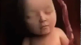 Life Before Birth-In the Womb