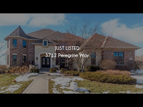 3712 Peregrine Way, Elgin, IL home video tour