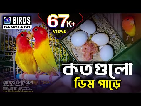 ভিডিও: গ্রীষ্মে এবং শীতকালে নবজাতকের জন্য আপনার কয়টি ডায়াপার দরকার? ফ্ল্যানেল ডায়াপার