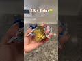 商品ページはプロフリンクから“シーラー”って検索してね🔍#便利グッズ